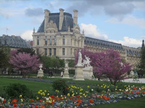 Soin du Tapis et du Parquet Paris Ier arrondissement du Louvre