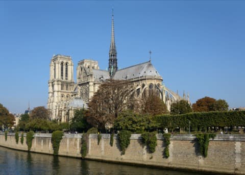 Soin du Tapis et du Parquet Paris IVe arrondissement de l'Hôtel-de-Ville
