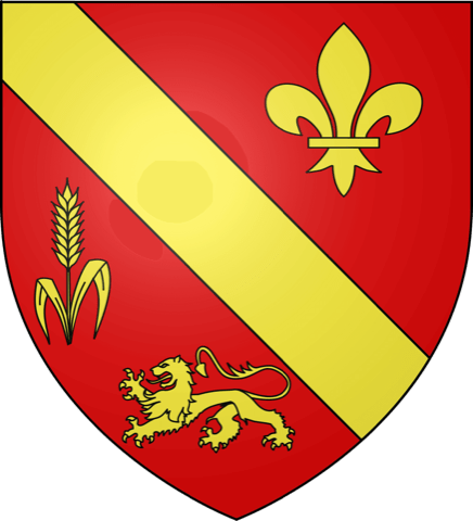 Soin du Tapis et du Parquet Boissy-Mauvoisin