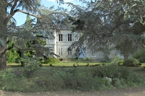 Soin du Tapis et du Parquet Cravent