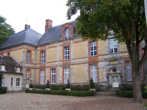 Soin du Tapis et du Parquet La Celle-les-Bordes