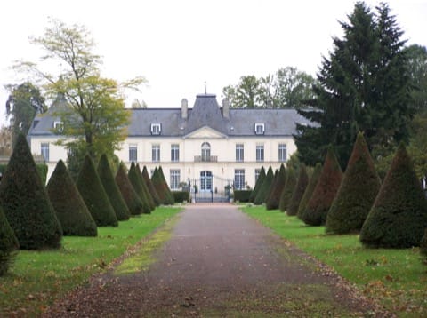 Soin du Tapis et du Parquet La Verrière