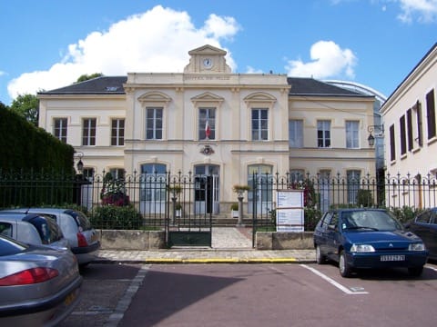 Soin du Tapis et du Parquet Maule