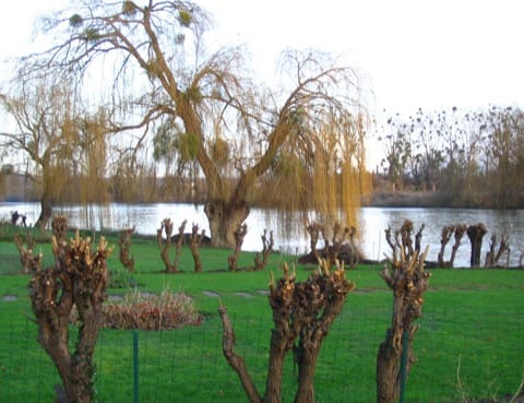 Soin du Tapis et du Parquet Mézy-sur-Seine
