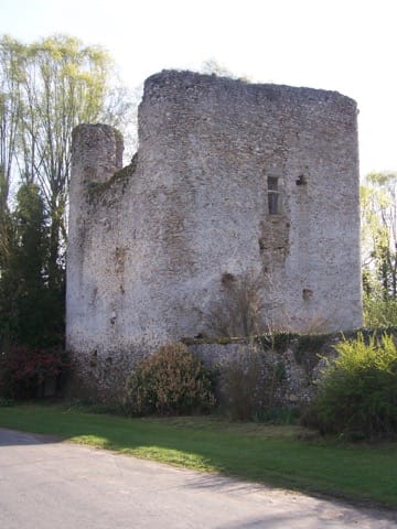 Soin du Tapis et du Parquet Prunay-en-Yvelines