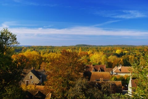 Soin du Tapis et du Parquet Rochefort-en-Yvelines