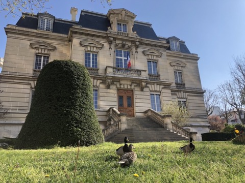 Soin du Tapis et du Parquet Vanves